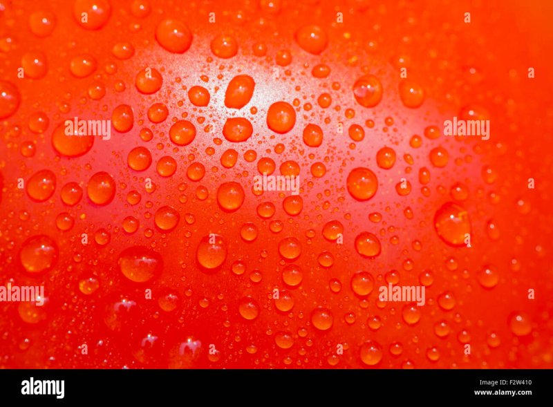 Кожура помидора текстура