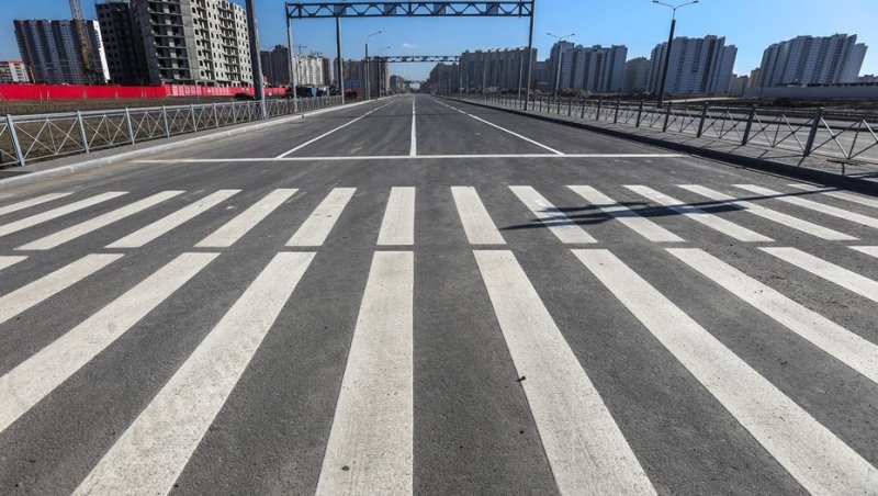 Пешеходная Зебра