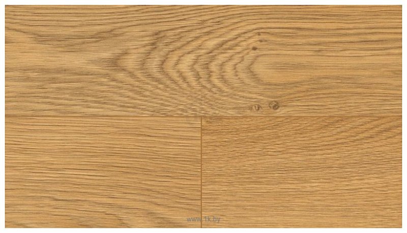 Дуб Лисса (8925 BS