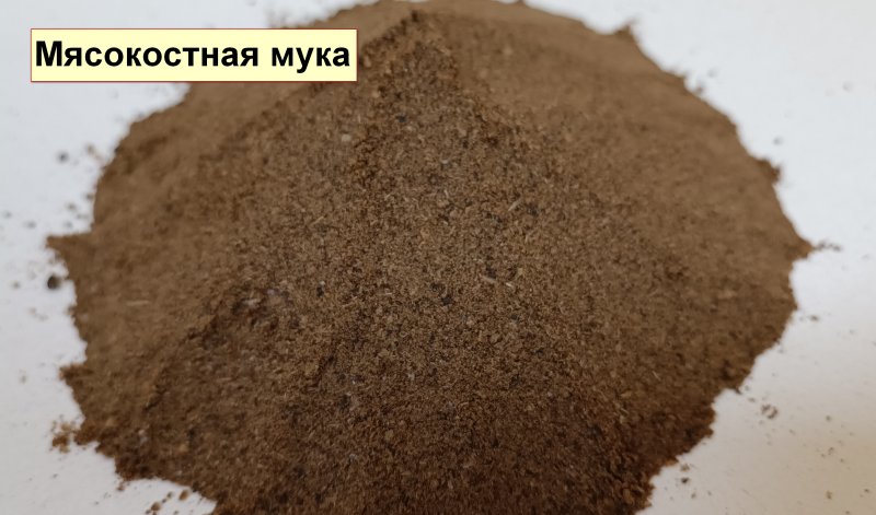 Мясокостная мука