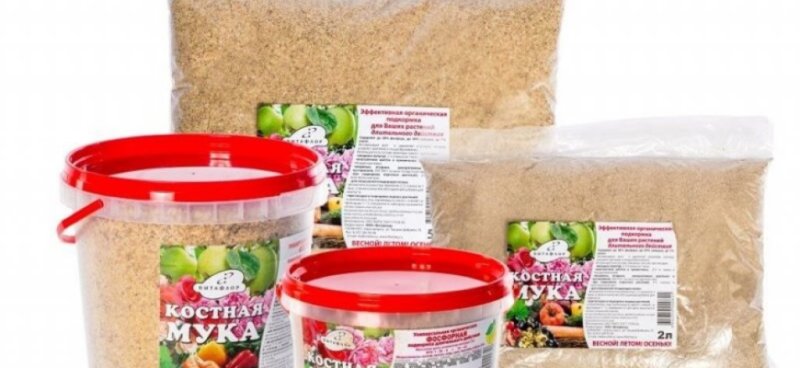 Костная мука для пионов