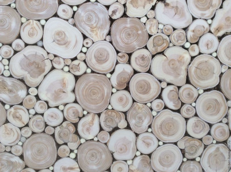 Панель из можжевельника