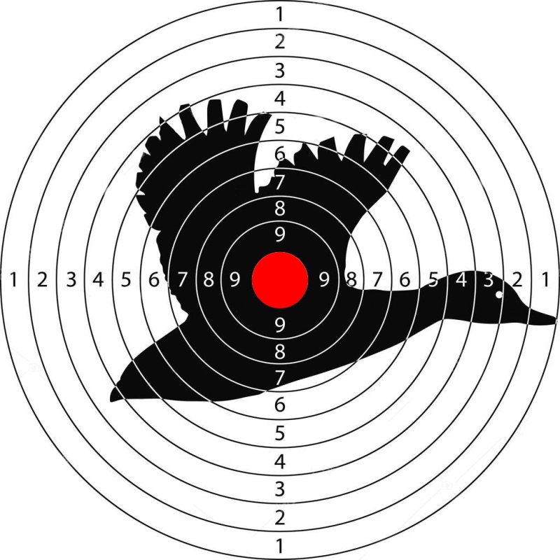 Мишень для пристрелки ружья 12 калибра