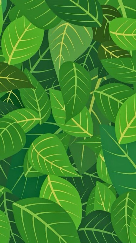 Зеленые листья фон