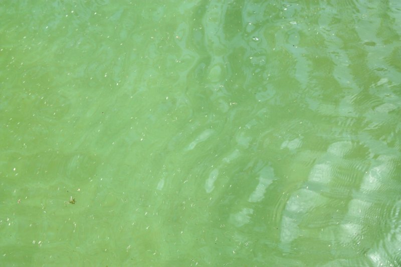 Текстура воды