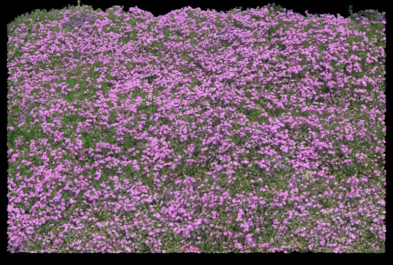 Текстура цветы