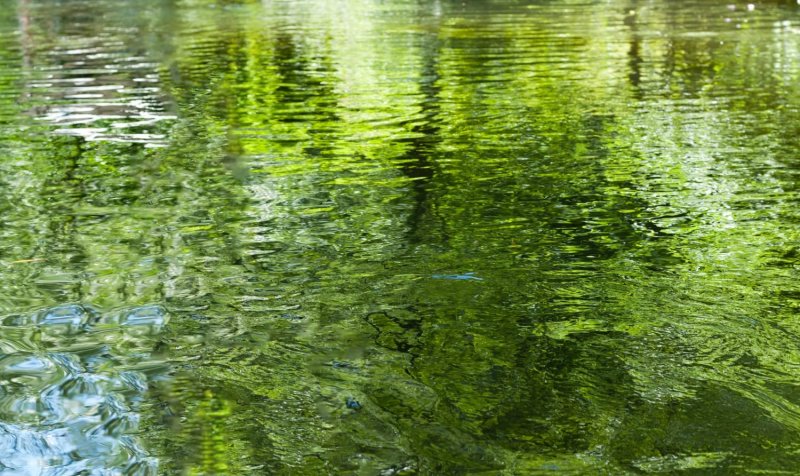 Текстура воды