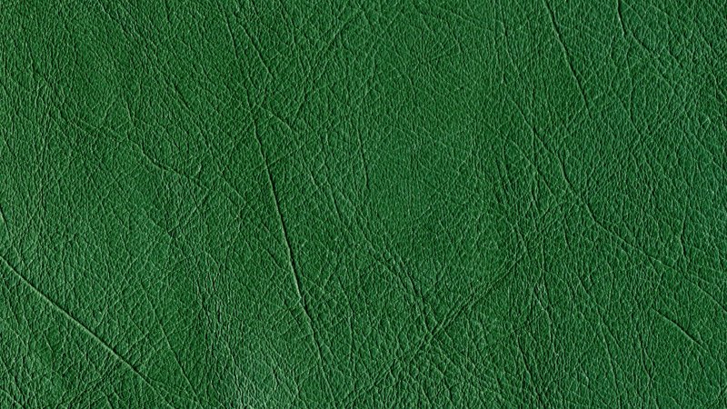 Зеленая кожа