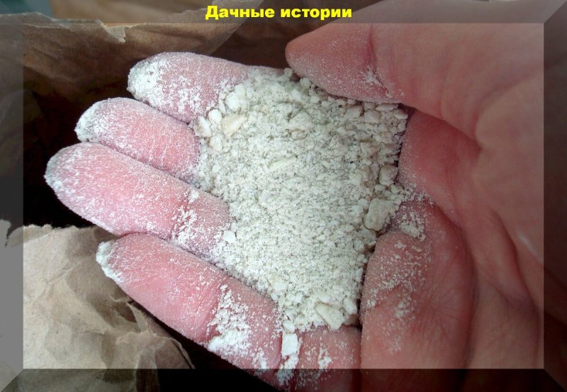 Костная мука