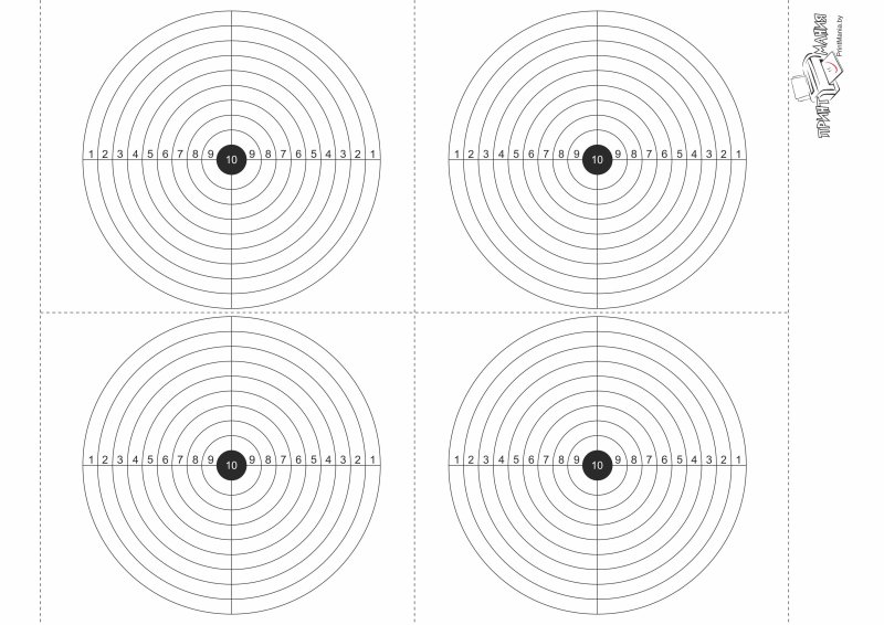 Мишени для пневматики а4 пристрелочная