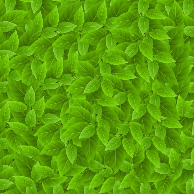 Текстура листвы