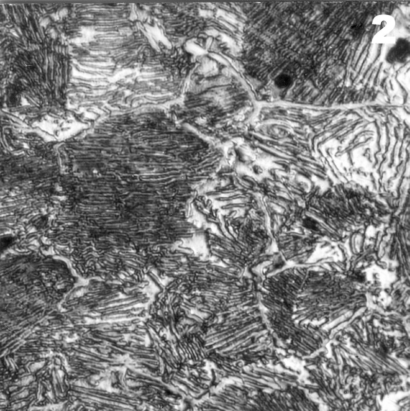 Эвтектоидная сталь фото цвет