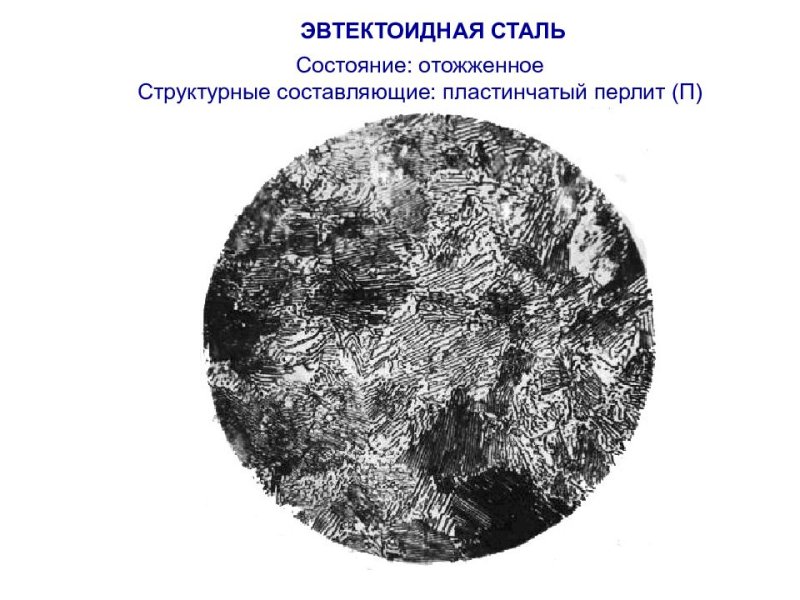 Эвтектоидная сталь структура перлита