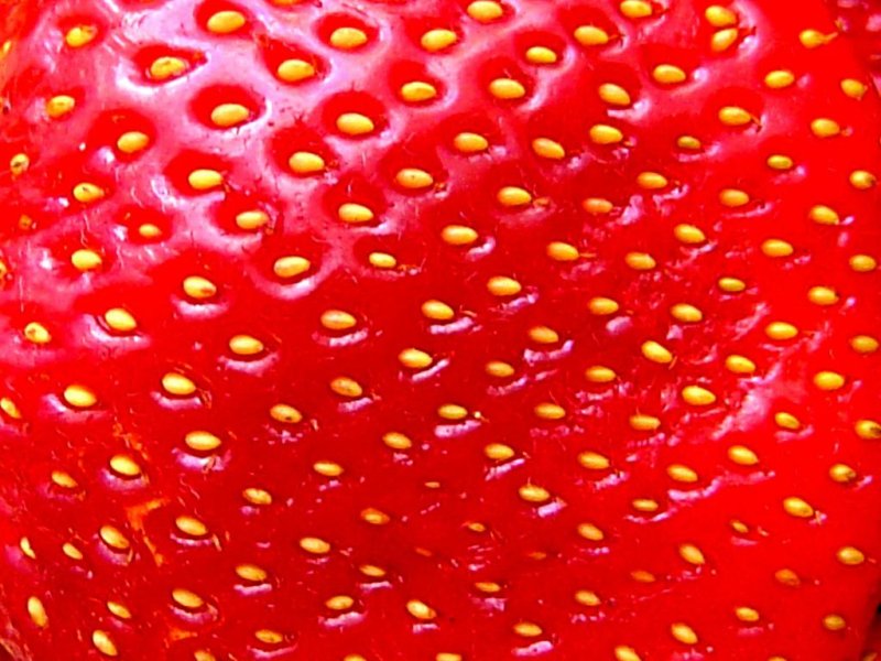 Текстура земляника