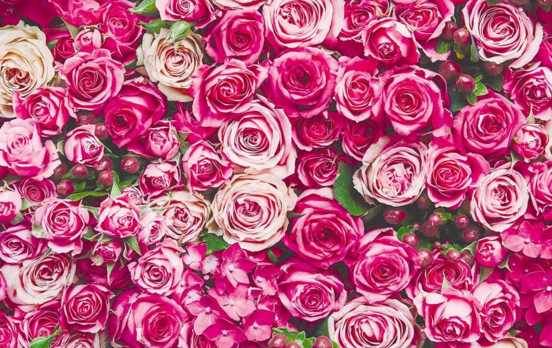 Цветочный фон