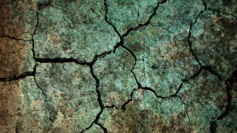 Текстура земли