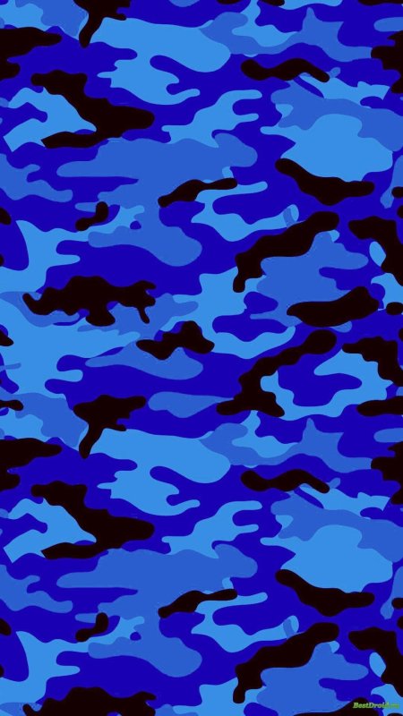 Голубой камуфляж