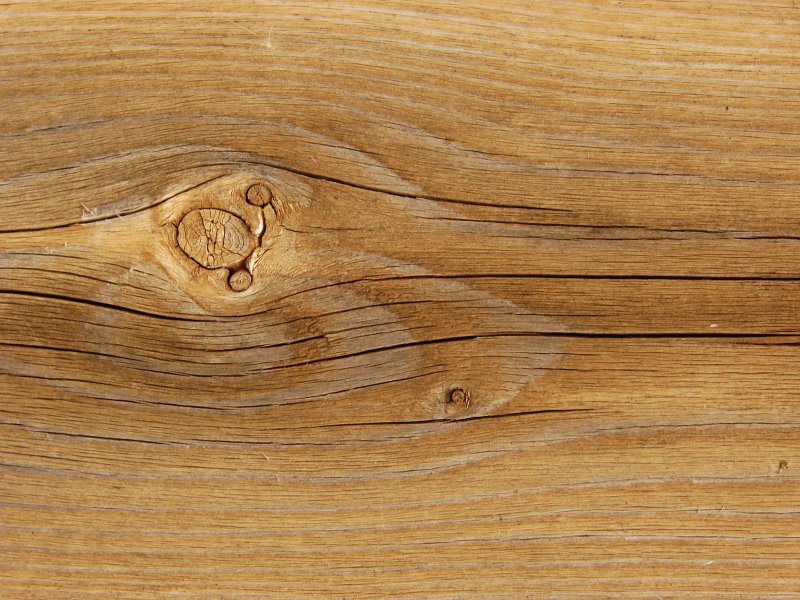 Текстура древесины