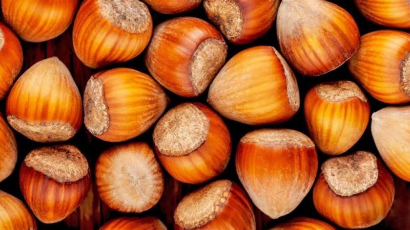 Орех текстура
