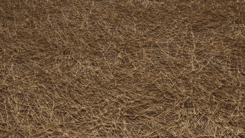 Текстура земли