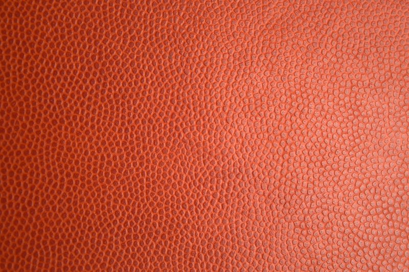 Фактура кожи