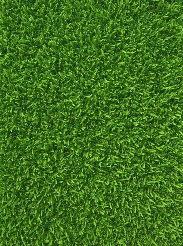 Текстура травы