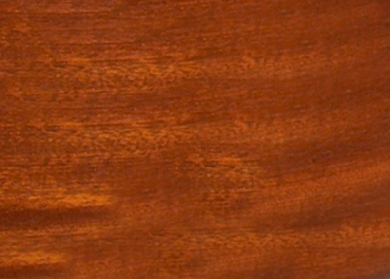 Цвет дерева яблоня