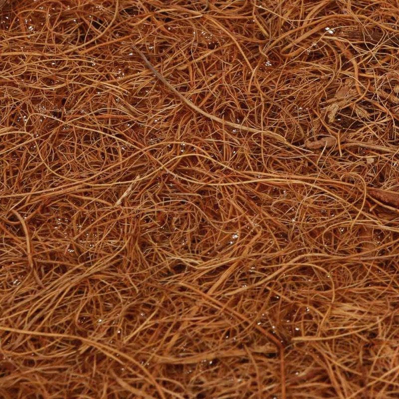 Иглопробивная кокосовая койра