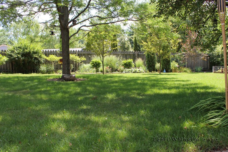 Панорама загородного участка