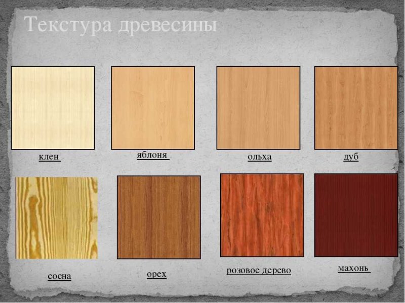 Цвет различных пород дерева