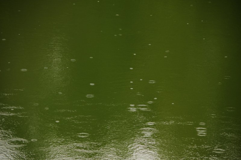 Мутная вода