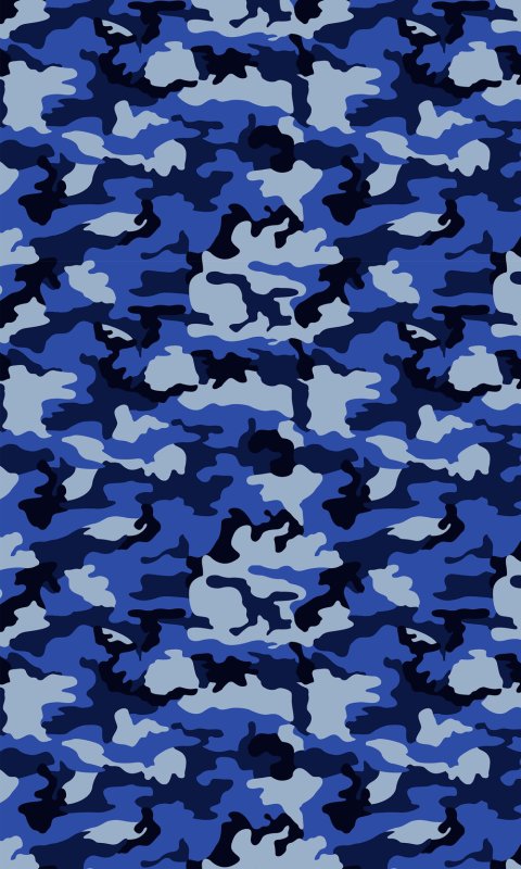 Голубой камуфляж