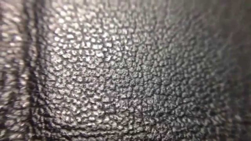 Шагреневая кожа