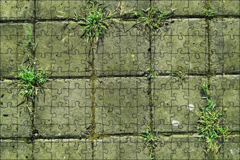 Текстура земли