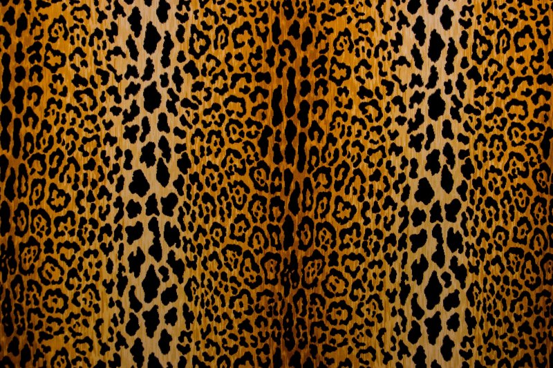 Версаче леопардовый принт