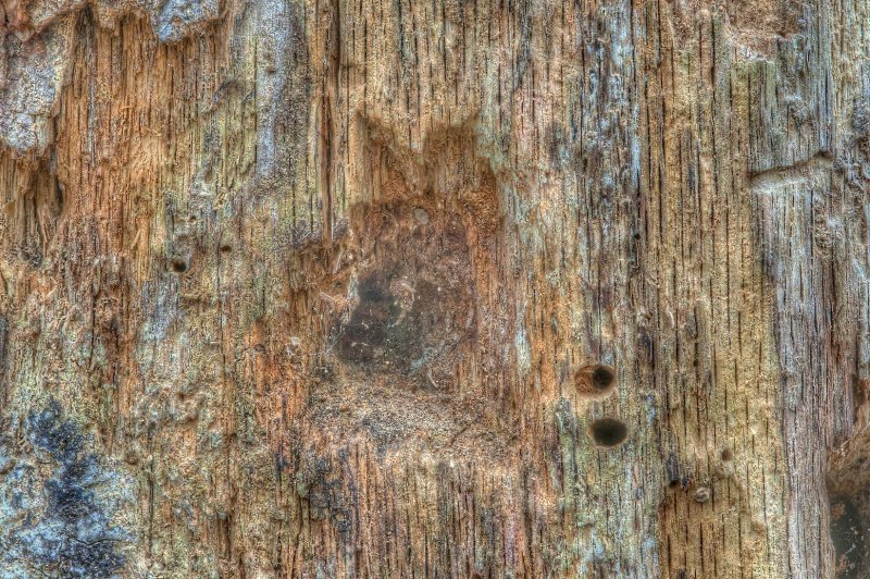 Текстура старого дерева