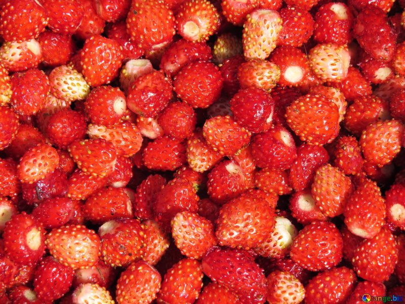 Красная клубника