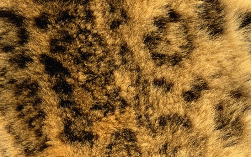 Пятнистый фон