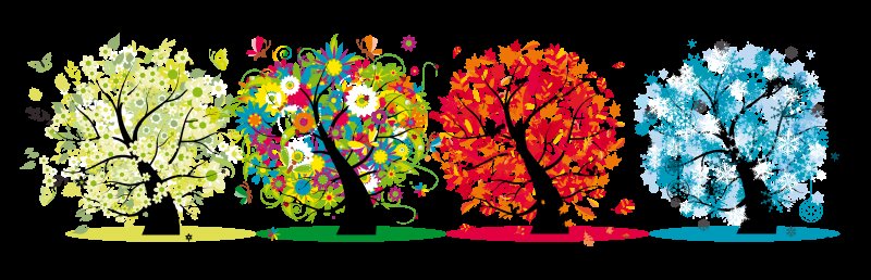 Сезонное дерево