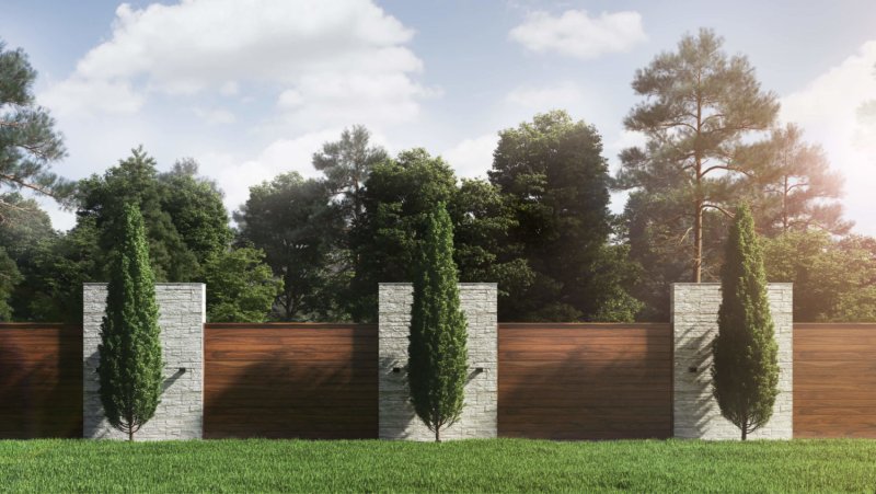 Панорама загородного участка