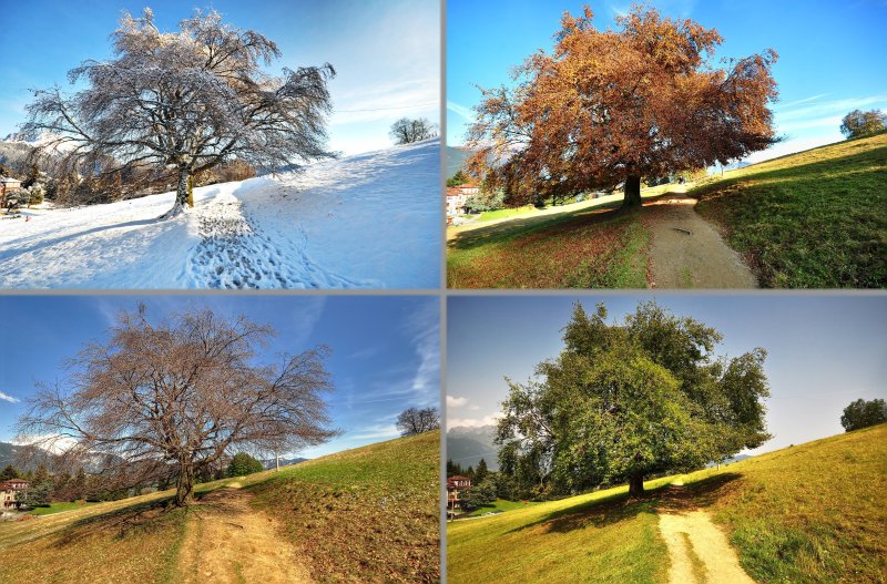 Пейзажи всех времен года