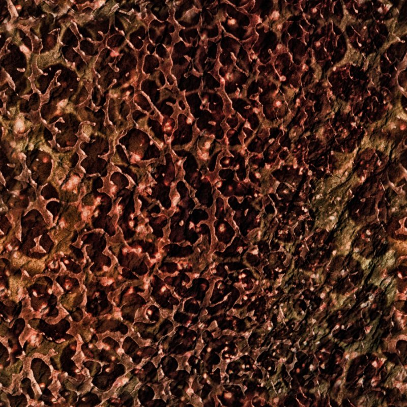 Текстура тела