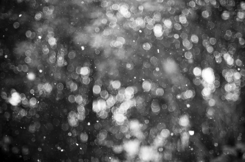 Боке снег