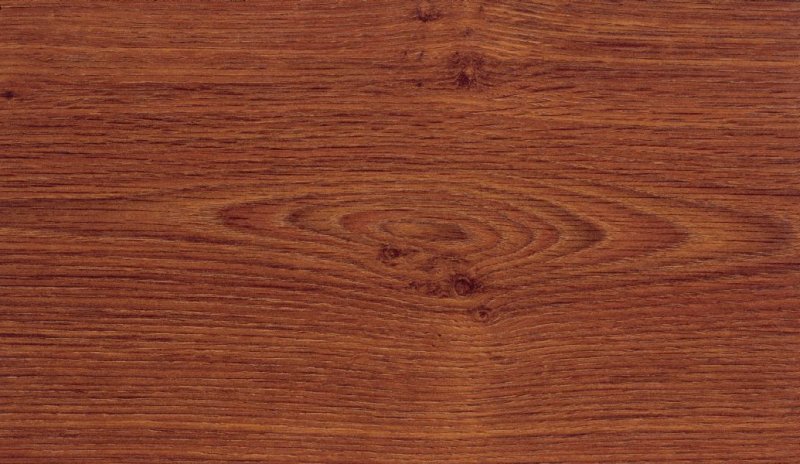 Красный дуб древесина