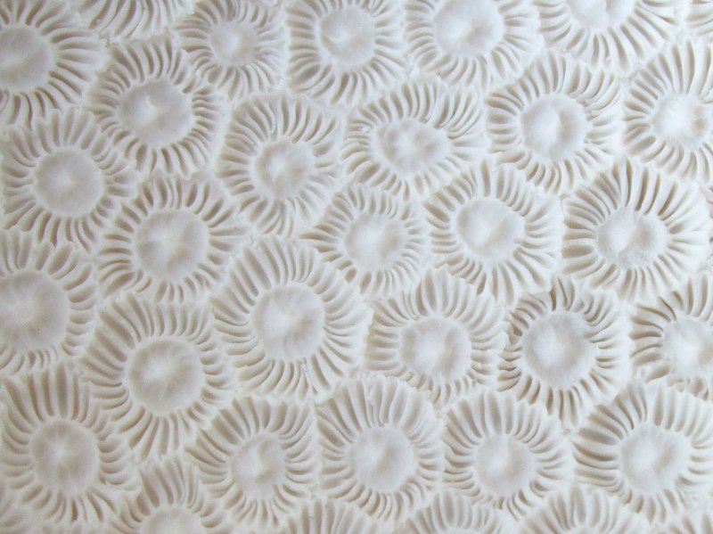 Текстура посуды