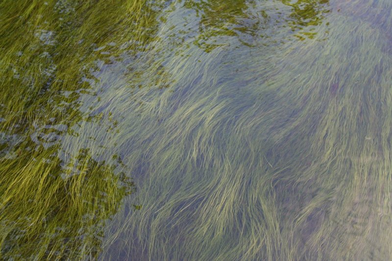 Фактура природы