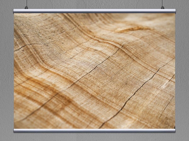 Фактура дерева