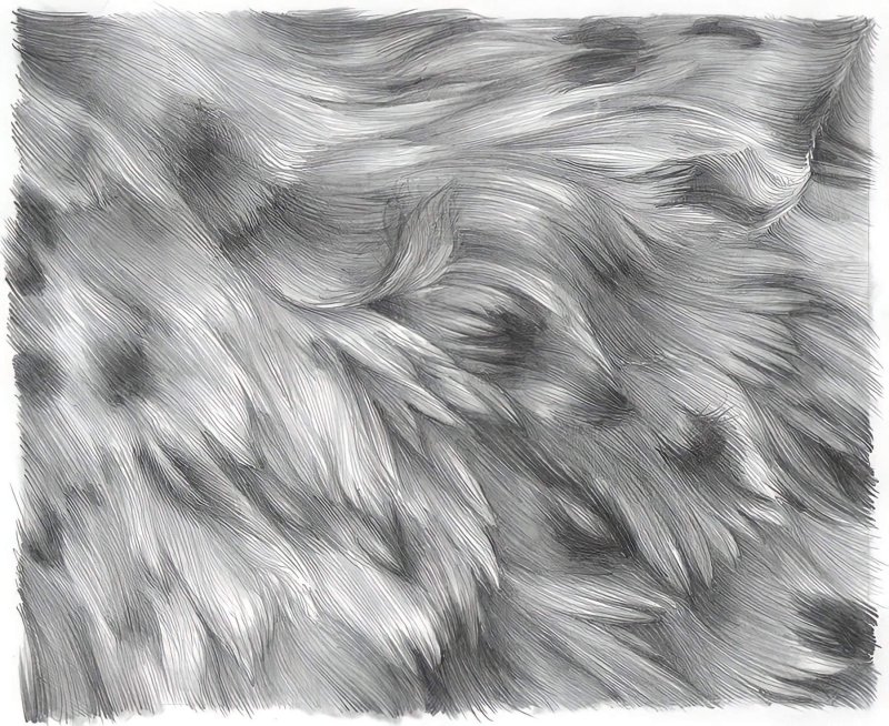 Текстура шерсти