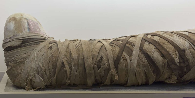 Мумия текстура