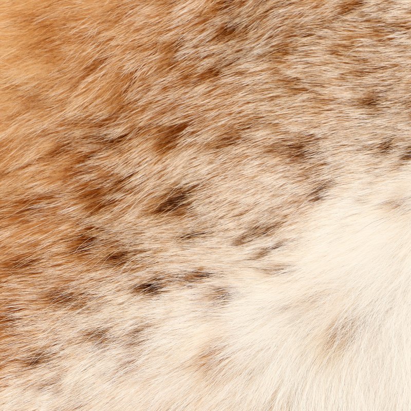 Шкура рыси натуральная